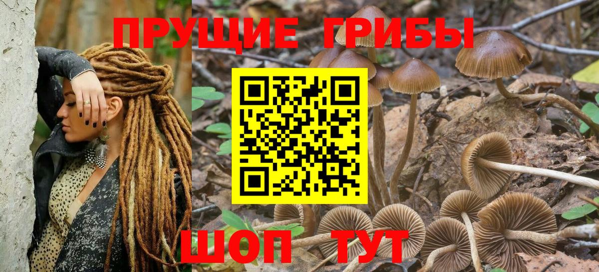 Галлюциногенные грибы мицелий  Вход с VPN  Великий Новгород 